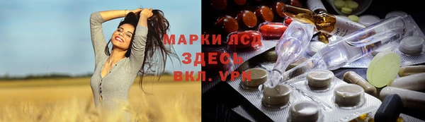 стафф Михайлов
