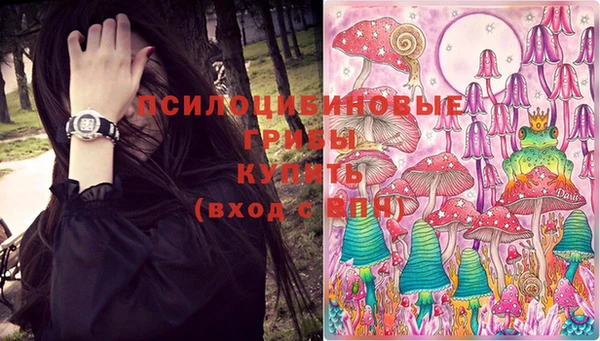 меф Михайловск
