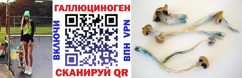 маркетплейс официальный сайт  Шацк  Галлюциногенные грибы мухоморы 